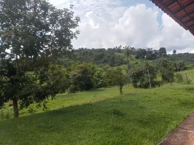Imagem: Chácara 3.000 Metros 1 Km Asfalto