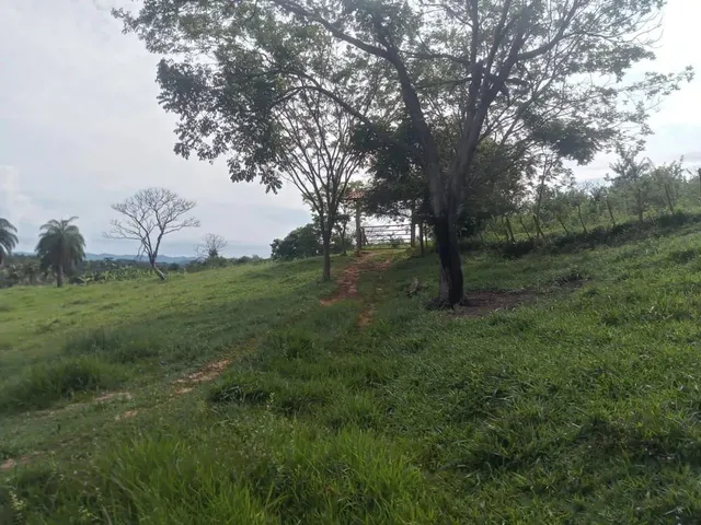 Imagem 4: Chácara 3.000 Metros 1 Km Asfalto