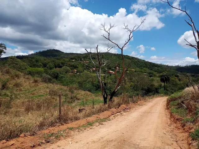 Imagem 2: Chácara 3.000 Metros 1 Km Asfalto