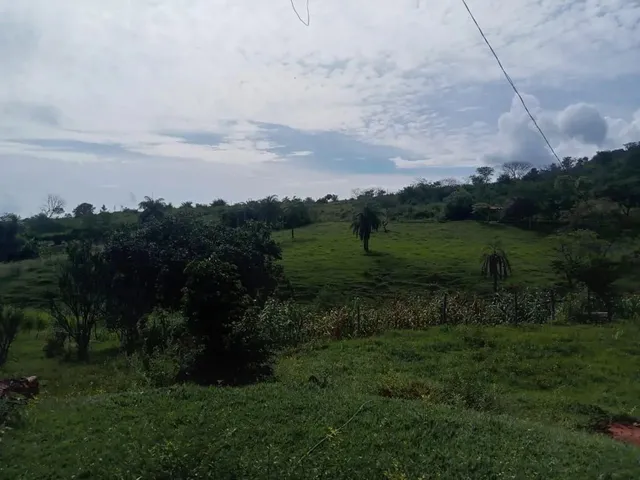 Imagem 3: Chácara 3.000 Metros 1 Km Asfalto