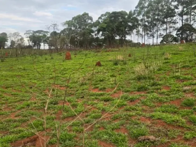 Imagem: Chácara 1.000M2 Itatiauçu