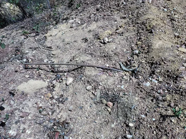 Imagem 9: Chácara em Jaboticatubas 2Mil Metros