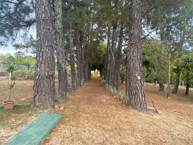 Imagem 9: Alugo Sitio Feriado de Natal e Carnaval