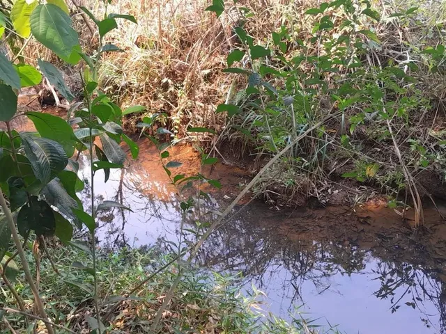 Imagem: Terreno com Água no Fundo