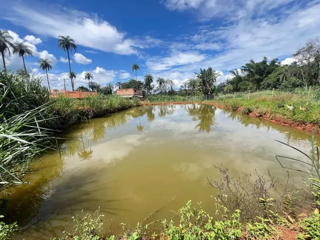 Imagem: Terreno com Lagoa