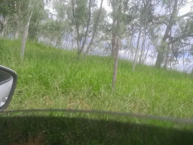 Imagem: Terreno Rural em Itaguara