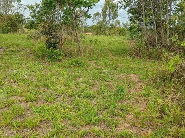 Imagem: Chacaras na Região dos Medeiros em Itatiaucu