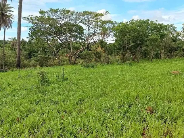 Imagem: Chácaras Planas, Registradas com 1000Mts