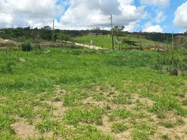 Imagem 4: Chácaras Planas, Registradas com 1000Mts, 2X= de R$10.000,00 Mais Parcelas