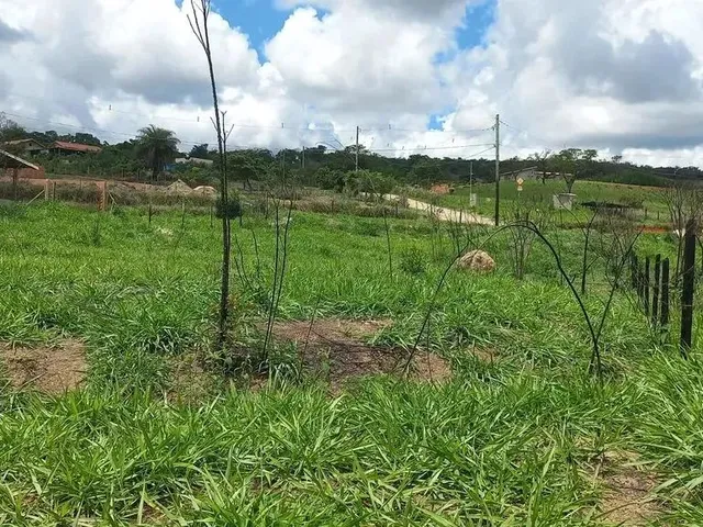 Imagem 3: Chácaras Planas, Registradas com 1000Mts, 2X= de R$10.000,00 Mais Parcelas