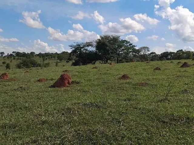 Imagem 6: Chácaras Planas, Registradas com 1000Mts, 2X= de R$10.000,00 Mais Parcelas
