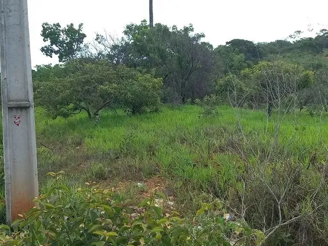 Imagem 2: Chácaras Planas, Registradas com 1000Mts, 2X= de R$10.000,00 Mais Parcelas