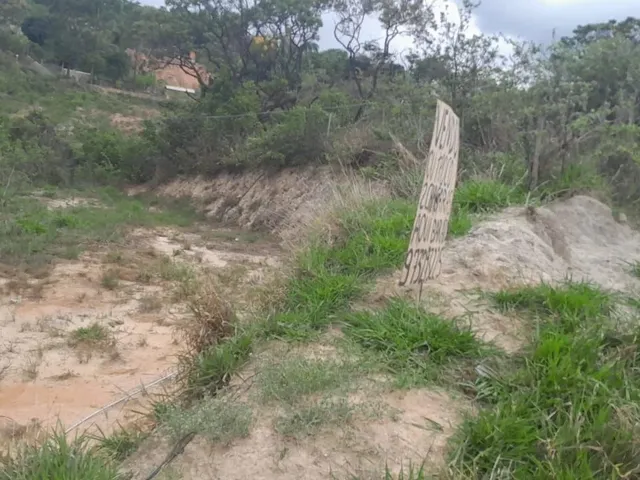 Imagem 5: 2 Chacaras no Total de 2.000 Mts 2