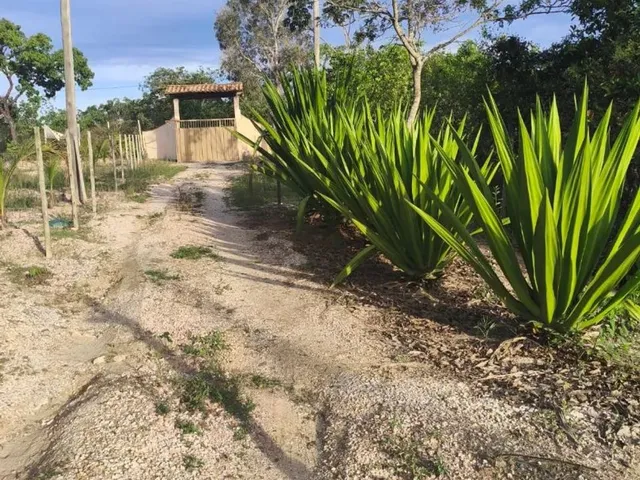 Imagem 4: Terreno em Taquaraçu de Minas