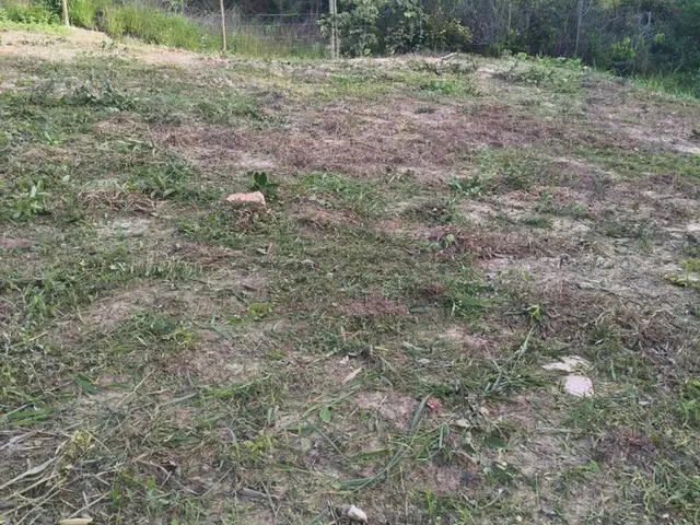Imagem 10: Terreno em Taquaraçu de Minas