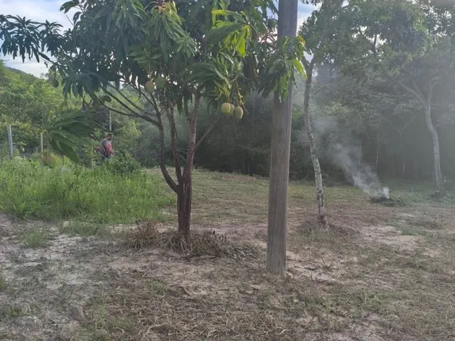 Imagem 12: Terreno em Taquaraçu de Minas