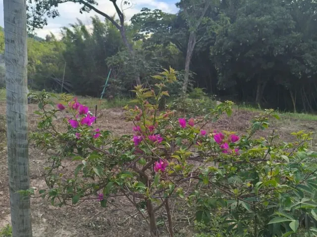 Imagem 13: Terreno em Taquaraçu de Minas