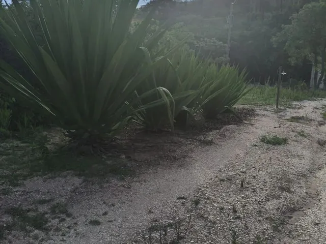 Imagem 16: Terreno em Taquaraçu de Minas