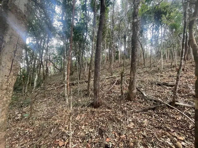 Imagem: Chácara 1000M2 Oportunidade