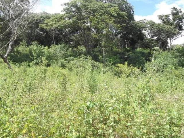 Imagem 8: Linda Chácara de 2.500 M², com Nascente a 100 Metros do Rio Cipó (Temos Varias