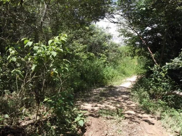Imagem 7: Linda Chácara de 2.500 M², com Nascente a 100 Metros do Rio Cipó (Temos Varias