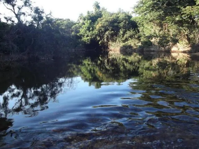 Imagem 10: Linda Chácara de 2.500 M², com Nascente a 100 Metros do Rio Cipó (Temos Varias