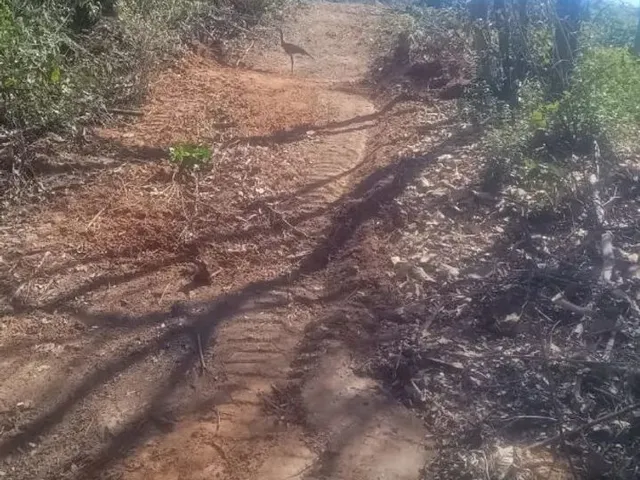Imagem: Chácaras