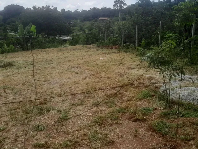 Imagem: Lotes Plano