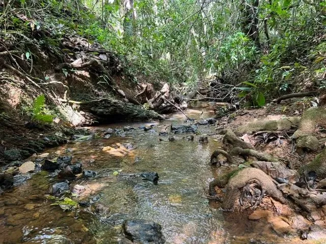 Imagem: Fazendinha 5.5 Ha, Piscina, Córrego, Terra
