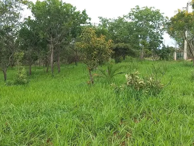 Imagem: Chácaras com 1000Mts Perto de Bh, 2X