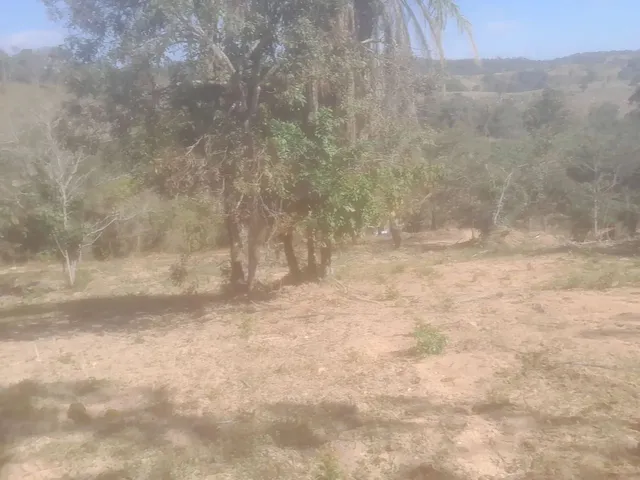 Imagem 1: Chacara Rural no Sítio Novo