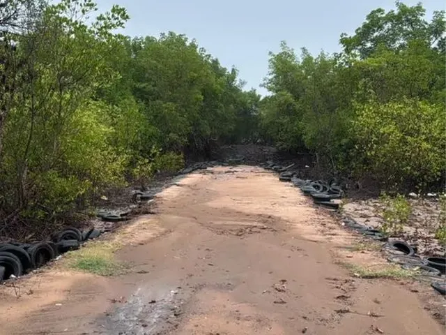 Imagem 3: Vende-Se Sítio no Timbuba Fundo para o Mar