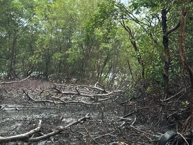 Imagem 4: Vende-Se Sítio no Timbuba Fundo para o Mar