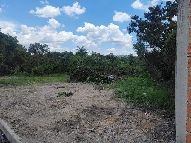 Imagem: Alugo Terreno Plano - 2.000 M² - Petrovale