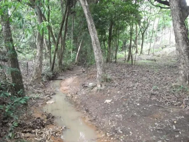 Imagem 1: Maravilho Sitio de 5.000 M², Jaboticatubas (Temos Varias Opções)