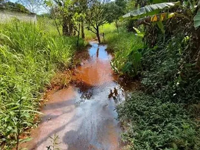 Imagem 16: Oportunidade Única, Chácara de 1300M2
