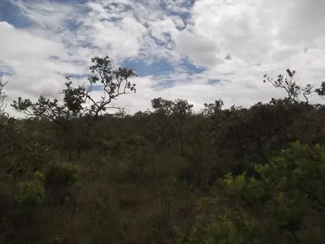 Imagem 8: Terreno 47.000M², Próximo a Serra do Cipó, com Internet e Bela Vista para Área Verde