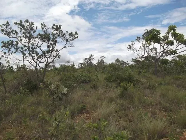 Imagem 6: Terreno 47.000M², Próximo a Serra do Cipó, com Internet e Bela Vista para Área Verde