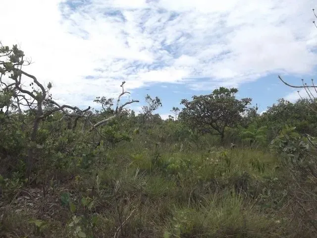 Imagem 14: Terreno 47.000M², Próximo a Serra do Cipó, com Internet e Bela Vista para Área Verde