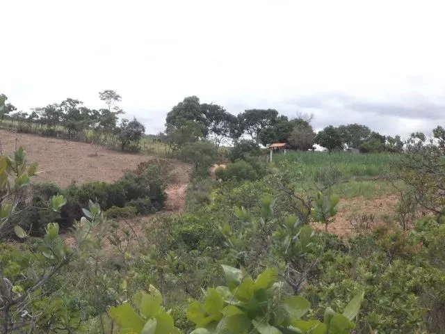Imagem 10: Terreno 47.000M², Próximo a Serra do Cipó, com Internet e Bela Vista para Área Verde