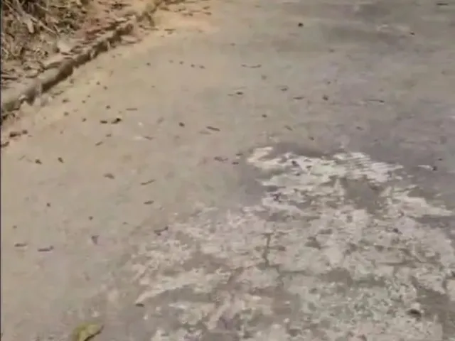 Imagem 3: Sítio 20.000 M² em Sabará