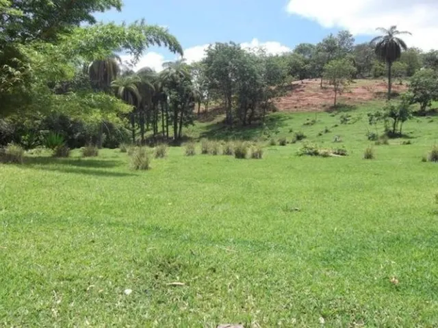 Imagem: Lindo Terreno Rural de 41 Hectares na Mg-10