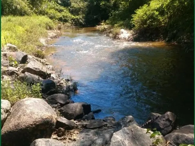 Imagem: Vendo 2 Hectares em Rosário