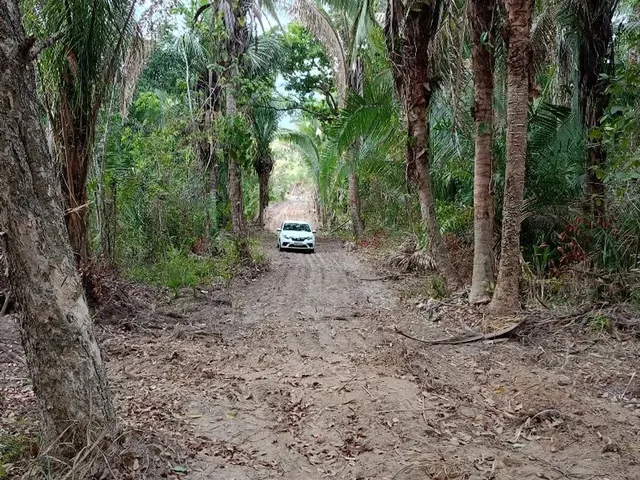 Imagem 3: Lotes Parcelados para Chácara em São Luis