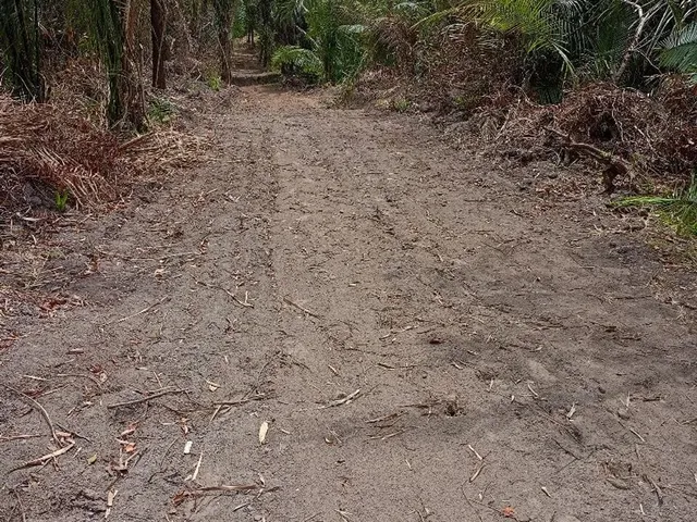 Imagem 4: Lotes Parcelados para Chácara em São Luis