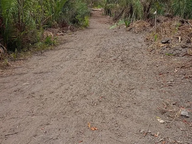 Imagem 5: Lotes Parcelados para Chácara em São Luis