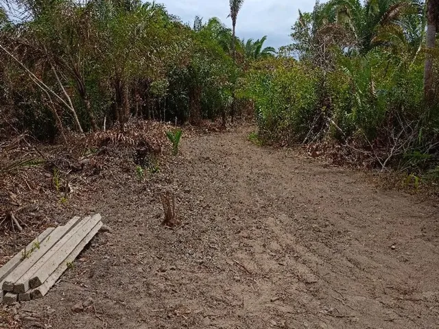 Imagem 2: Lotes Parcelados para Chácara em São Luis