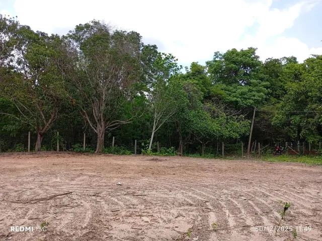 Imagem 1: Terreno 60X100M Árvores Verdes