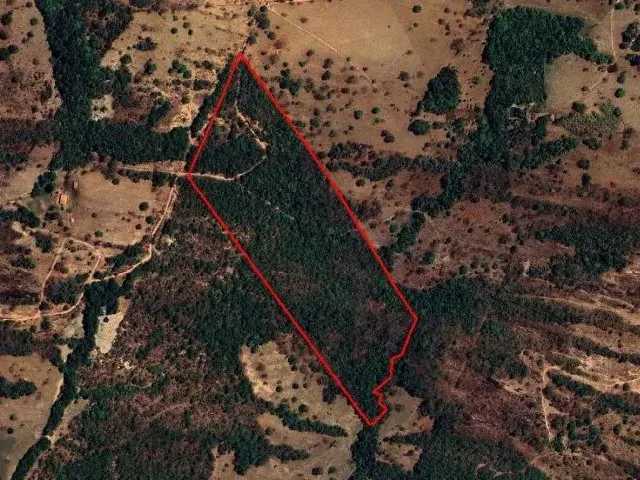 Imagem: 12,6Ha - Chácara - Jaraguá - Go - Br153