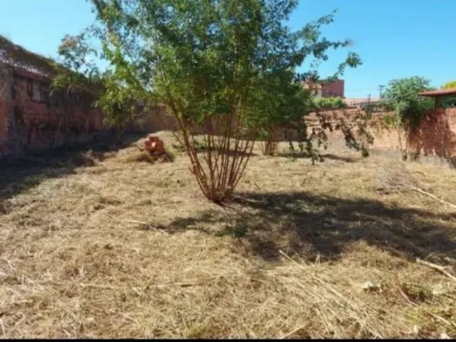 Imagem 3: Excelente Terreno 19X30 550.000